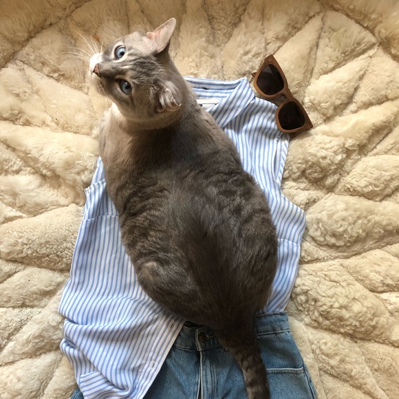 Meet your Posher, Holie - Picture 3 of 4